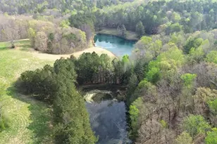 75 Star Wars Path, Dallas, GA 30132 - Photo 92