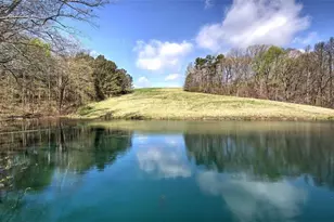 75 Star Wars Path, Dallas, GA 30132 - Photo 62