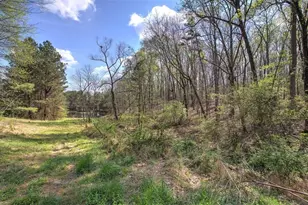 75 Star Wars Path, Dallas, GA 30132 - Photo 78