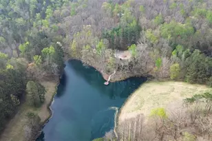 75 Star Wars Path, Dallas, GA 30132 - Photo 70