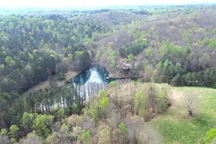 75 Star Wars Path, Dallas, GA 30132 - Photo 82
