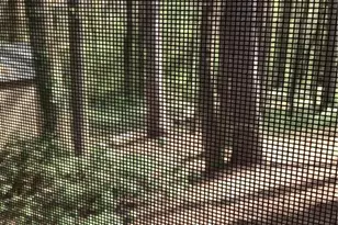 7725 Silversmith Dr, Cumming, GA 30028 - Photo 4