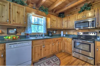 220 Lakota Lane, Mineral Bluff, GA 30559 - Photo 16