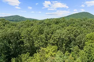 [Address not provided], Mineral Bluff, GA 30559 - Photo 2
