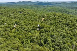 [Address not provided], Mineral Bluff, GA 30559 - Photo 48