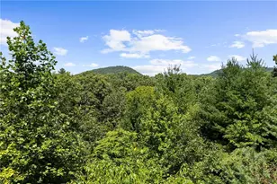 [Address not provided], Mineral Bluff, GA 30559 - Photo 34
