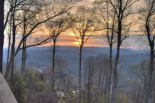 472 Overlook Dr, Blue Ridge, GA 30513 - Photo 60