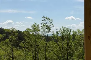 1521 Azure Ln, Ranger, GA 30734 - Photo 2
