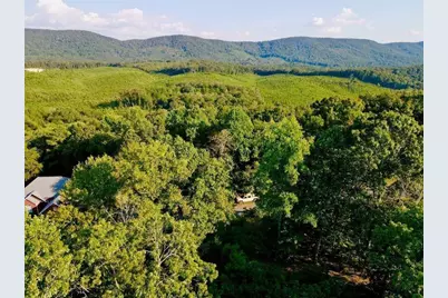 98 Magnolia Court, Summerville, GA 30747 - Photo 8