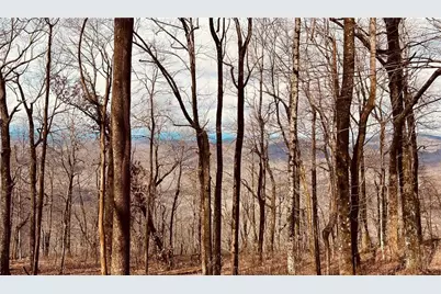 280 Big Stump Mountain Trail, Jasper, GA 30143 - Photo 16