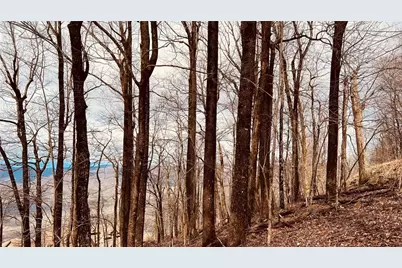 280 Big Stump Mountain Trail, Jasper, GA 30143 - Photo 2