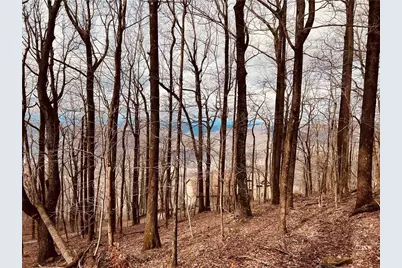 280 Big Stump Mountain Trail, Jasper, GA 30143 - Photo 8