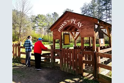 280 Big Stump Mountain Trail, Jasper, GA 30143 - Photo 26