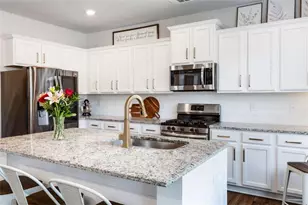 929 Daylilly Hill, Bremen, GA 30110 - Photo 18