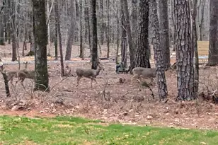 305 Riverbend Dr, McDonough, GA 30252 - Photo 44