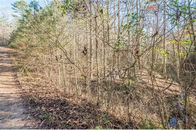 0 Pine Woods Drive, Blairsville, GA 30512 - Photo 20