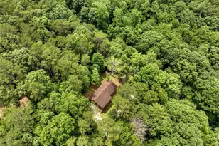 298 Spindrift Ct, Ellijay, GA 30540 - Photo 30