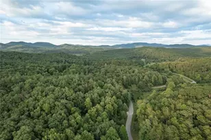 140 Black Oaks Road, Cherry Log, GA 30522 - Photo 50