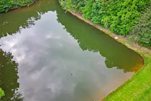 60 Clubhouse Ct, Ellijay, GA 30536 - Photo 44