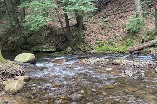 60 Clubhouse Ct, Ellijay, GA 30536 - Photo 52