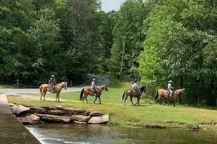 147 Laurel Mill Trail, Jasper, GA 30143 - Photo 62