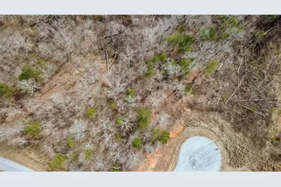 Lot 43 Bucktail Way, Talking Rock, GA 30175 - Photo 12