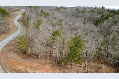 Lot 43 Bucktail Way, Talking Rock, GA 30175 - Photo 6