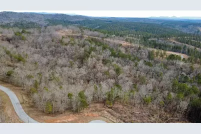 Lot 43 Bucktail Way, Talking Rock, GA 30175 - Photo 10
