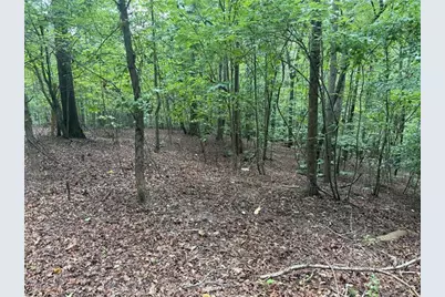 140 Joe Green Lane, Canton, GA 30114 - Photo 1