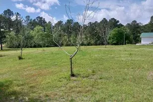 152 Seaweed Rd, Fitzgerald, GA 31750 - Photo 4