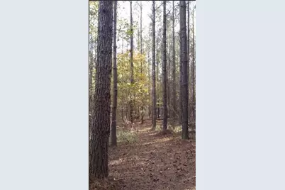 1047 Ponder Trammell Road, Juliette, GA 31046 - Photo 1