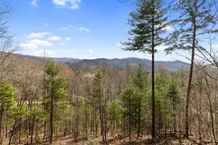 [Address not provided], Cherrylog, GA 30522 - Photo 40