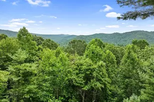 [Address not provided], Cherrylog, GA 30522 - Photo 52