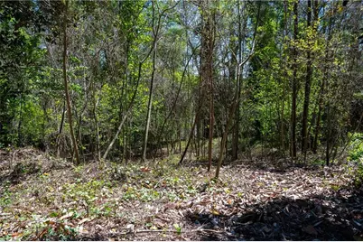 1676 Abner Court NW, Atlanta, GA 30318 - Photo 8