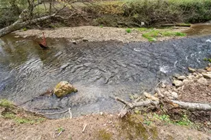 1420 Henry Evans Rd, Ellijay, GA 30540 - Photo 88