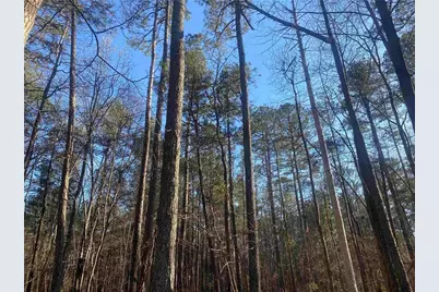 0 Corinth Five Points Rd, Buchanan, GA 30113 - Photo 2