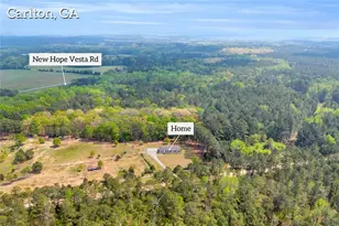 77 Vesta Palmetto Rd, Carlton, GA 30627 - Photo 20