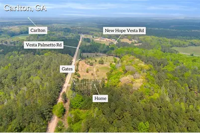 77 Vesta Palmetto Road, Carlton, GA 30627 - Photo 16
