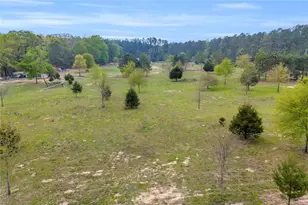 77 Vesta Palmetto Rd, Carlton, GA 30627 - Photo 72