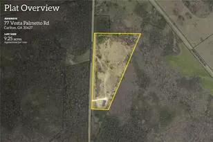 77 Vesta Palmetto Rd, Carlton, GA 30627 - Photo 60