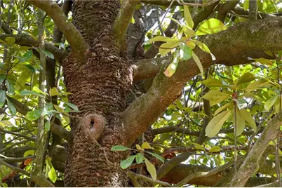 3963 Craigwood Drive, Duluth, GA 30096 - Photo 36