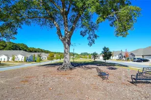 2562 Rathburn Cir, Loganville, GA 30052 - Photo 38