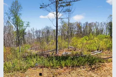 0 Twisted Oak Road, Talking Rock, GA 30175 - Photo 2