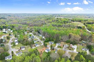 5037 Holly Hock Dr, Flowery Branch, GA 30542 - Photo 46