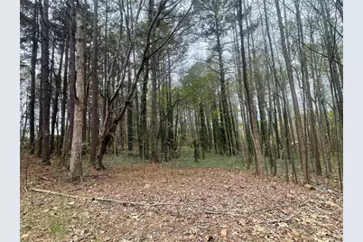 0 Mt Tabor Church Road, Dallas, GA 30157 - Photo 1