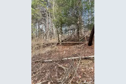 0 Log Swamp Dr. Drive, Jasper, GA 30143 - Photo 2