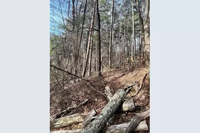 0 Log Swamp Dr. Drive, Jasper, GA 30143 - Photo 1