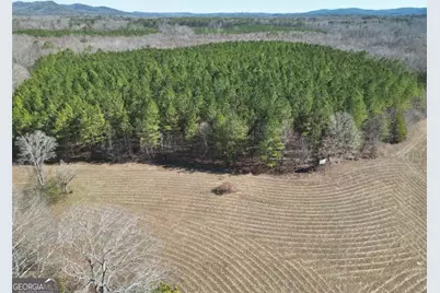 0 Livingston Rd, Rome, GA 30161 - Photo 4