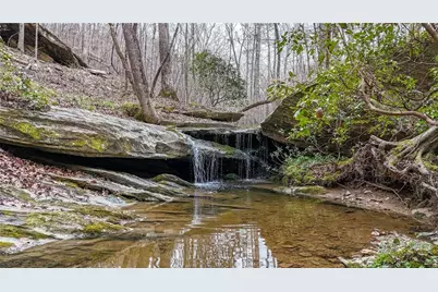 0 Felton Rockmart Road, Buchanan, GA 30113 - Photo 1