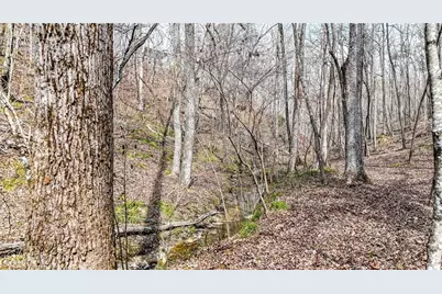 0 Felton Rockmart Road, Buchanan, GA 30113 - Photo 36